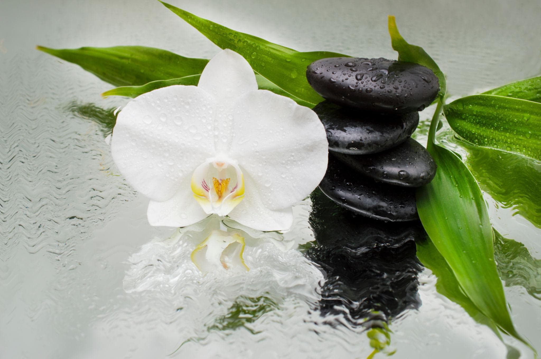 Relaxio Spa Gomti Nagar Lucknow ambiance luxury spa background